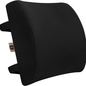 Ergo Back Support Cushion