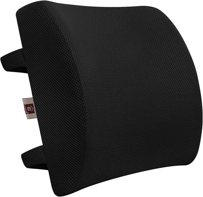 Ergo Back Support Cushion