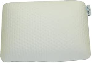 Mini Travel Pillow