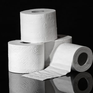 Toilet Paper Rolls
