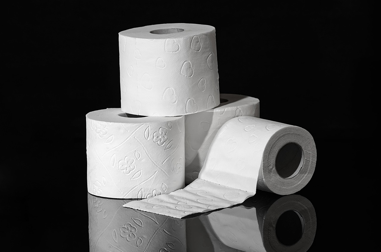 Toilet Paper Rolls