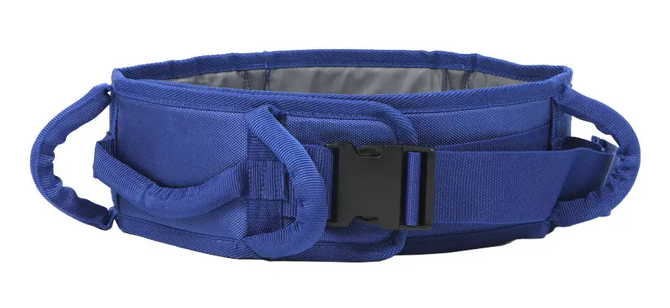 Transfer Belt